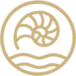 newlogo-icon